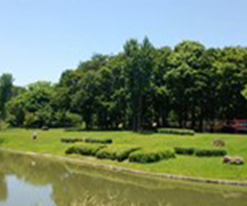 つくば市竹園東公園